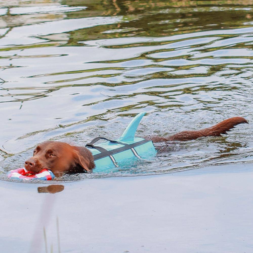 Dog swimming aid "Sharki" light blue Size: L - 40 cm | Nobby