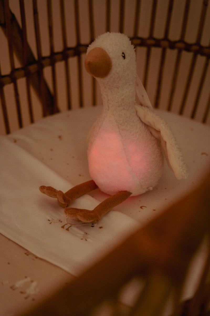 Cuddly Goose Light & Sound GRS
