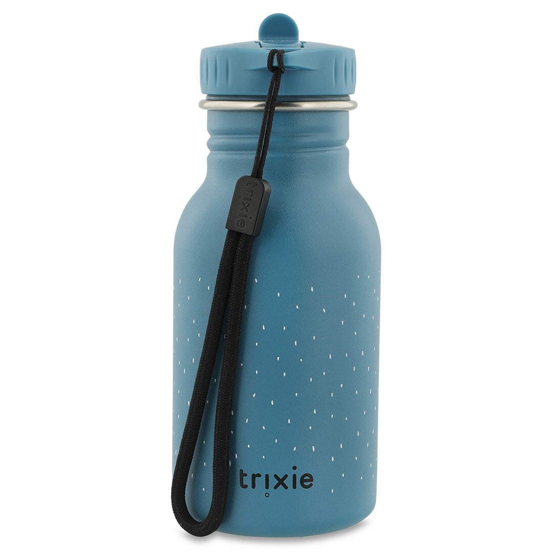 350ml Water Bottle - Mr. Triceratops | Trixie