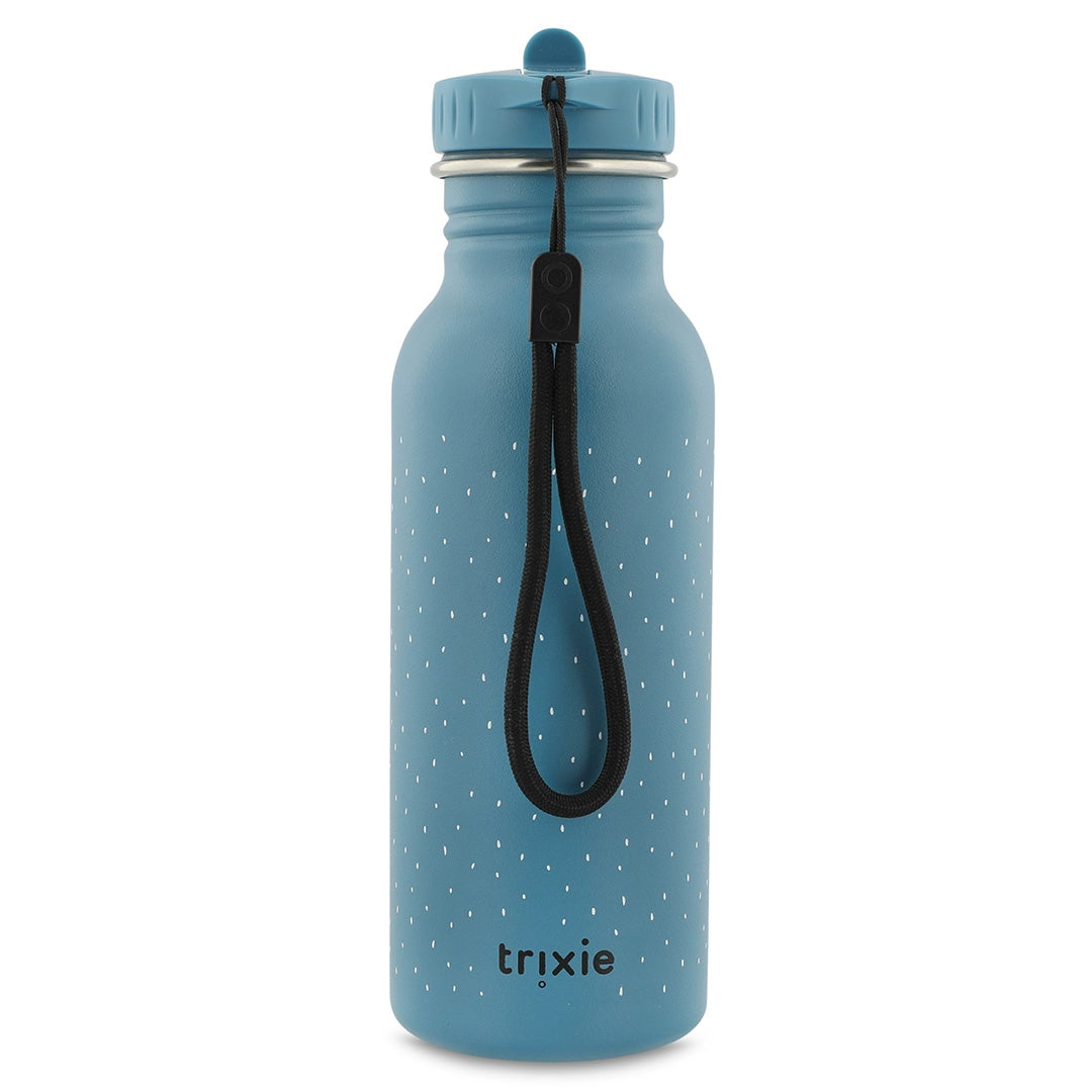 500ml Water Bottle - Mr. Triceratops | Trixie