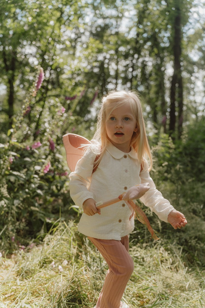 Fairy wings and magic wand | Little Dutch