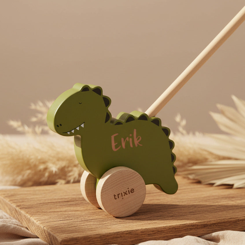 Wooden push toy - Mr. Dino | Trixie