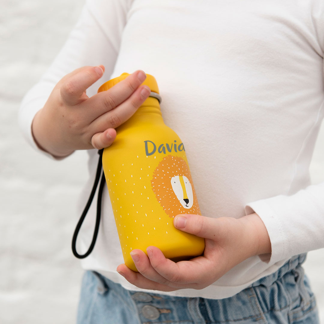 Drinking bottle 350 ml - Mr. Lion | Trixie