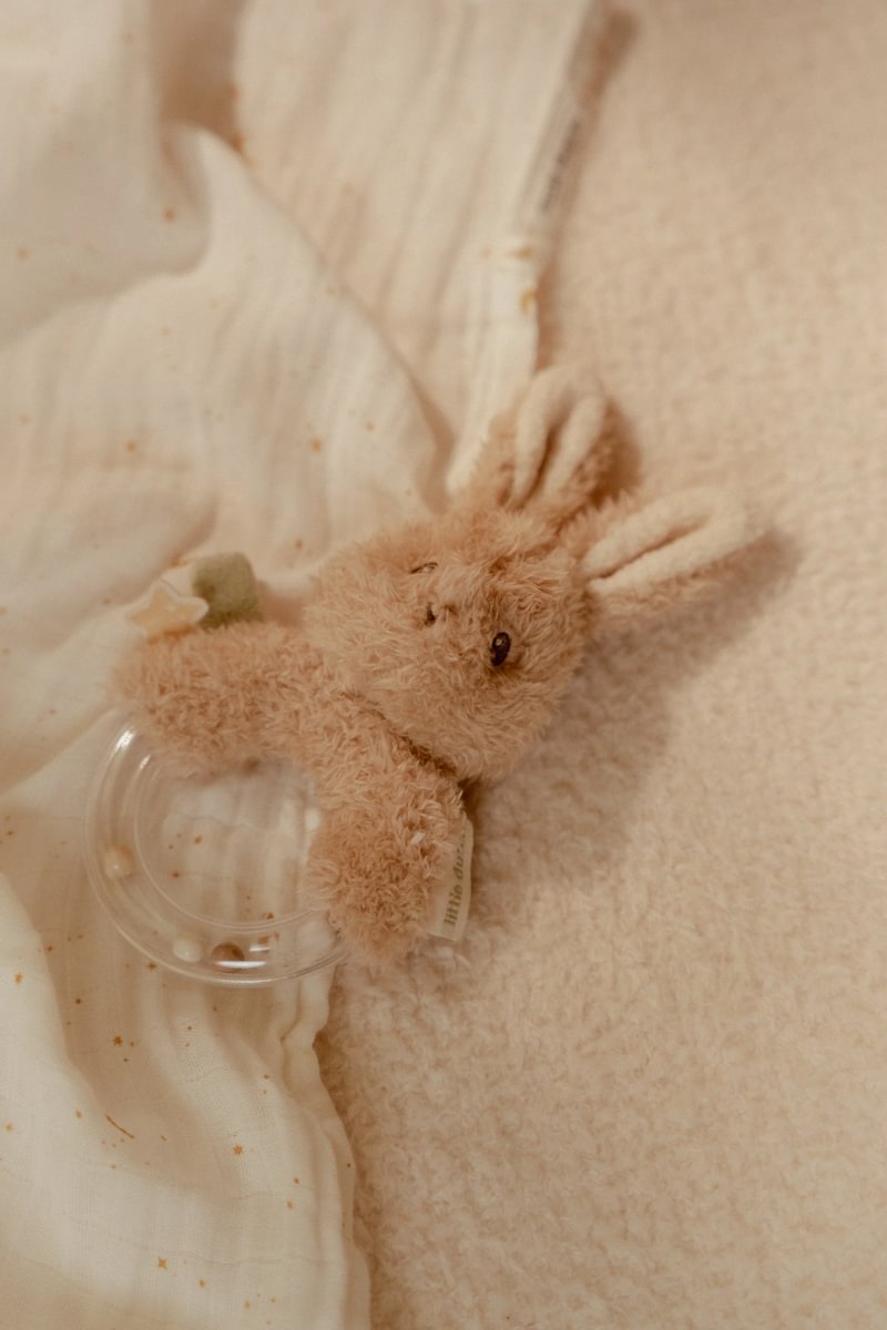 Ring rattle Newborn Naturals GRS