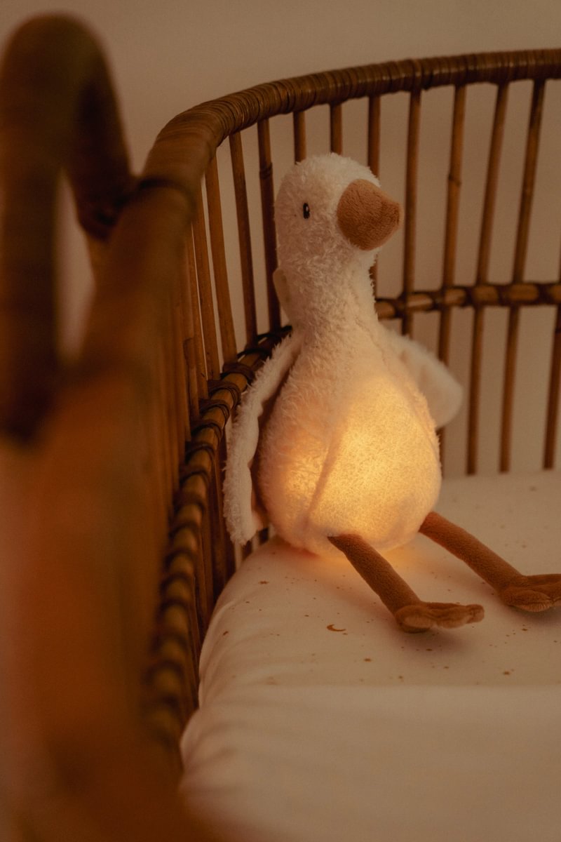 Cuddly Goose Light &amp; Sound GRS