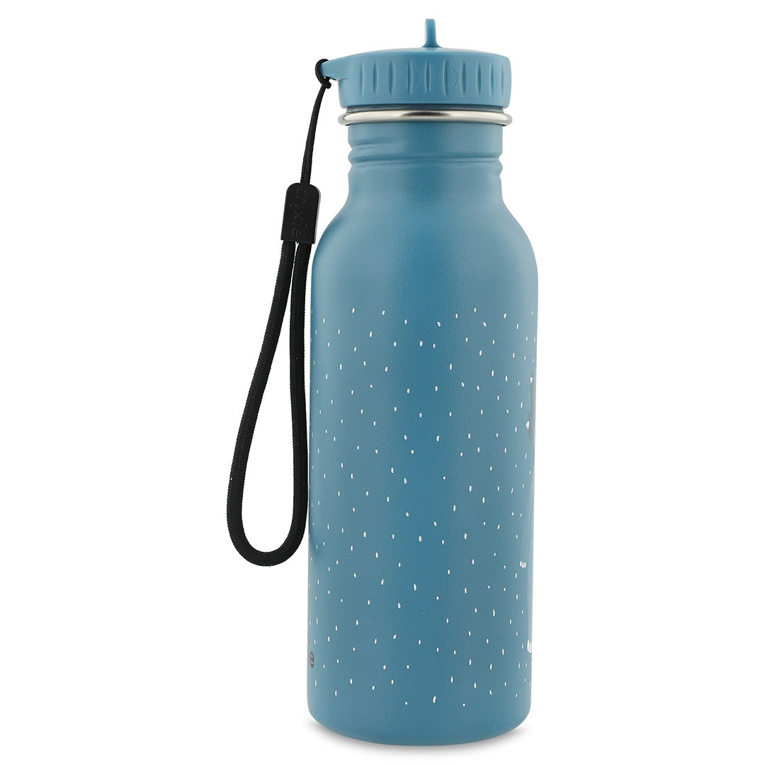 500ml Water Bottle - Mr. Triceratops | Trixie