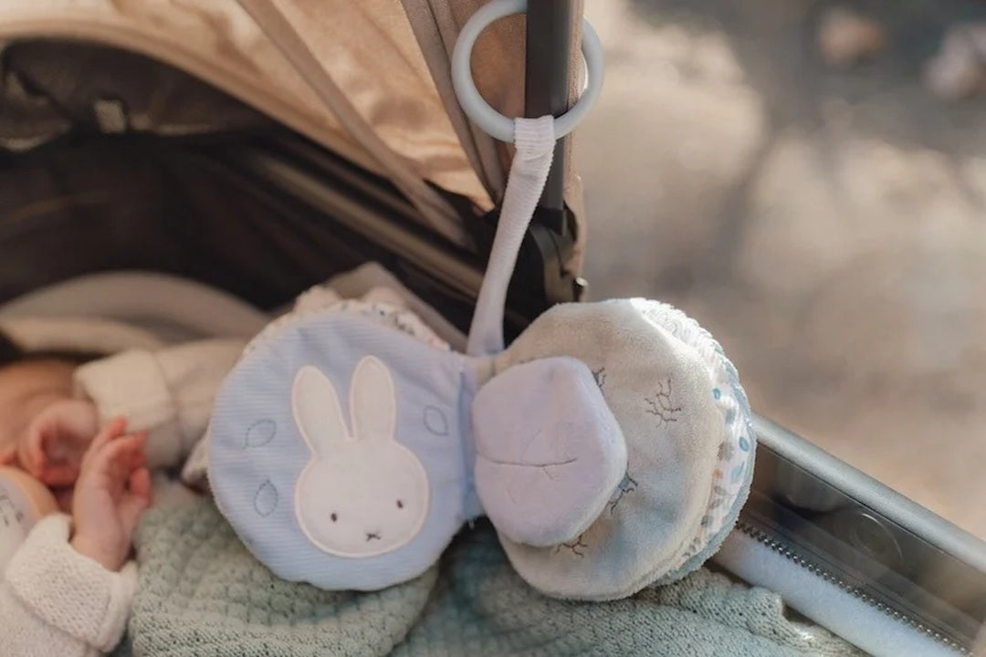 Buggy book Lucky Leaves x Miffy