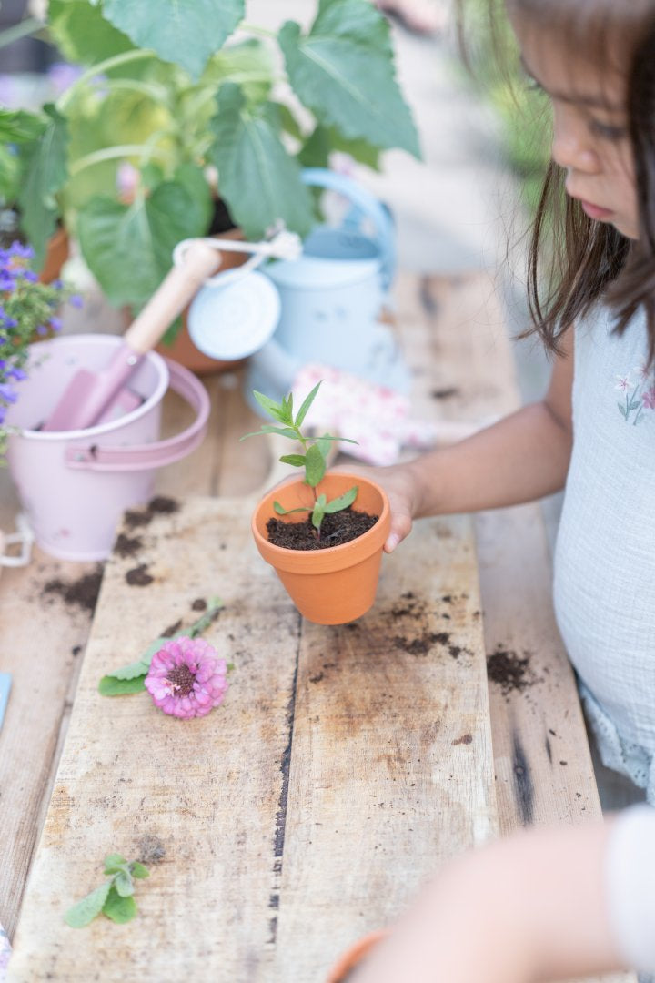 Eimer Fairy Garden für Kinder