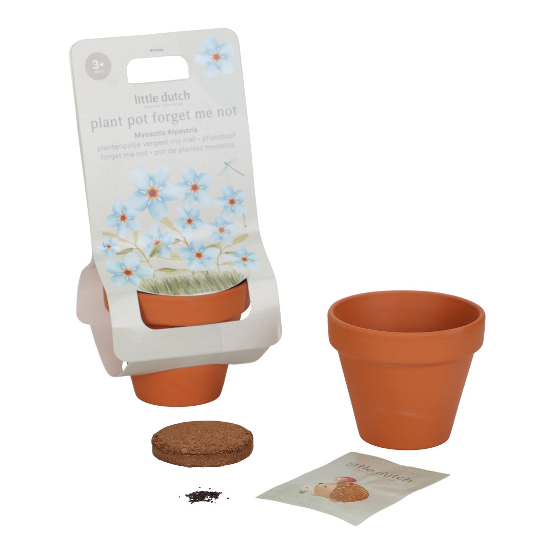 Forget-me-not Pot for Children