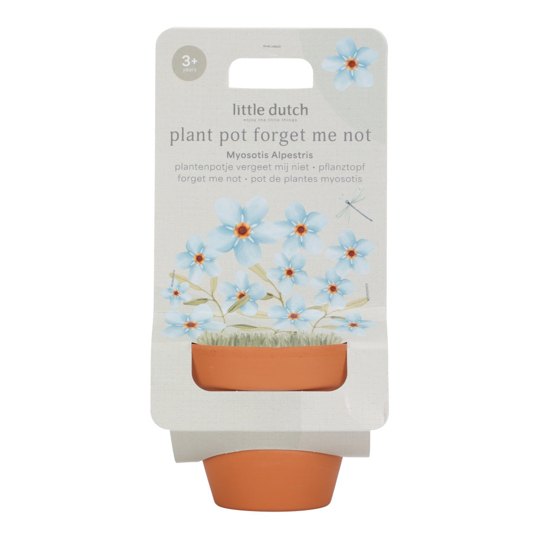 Forget-me-not Pot for Children