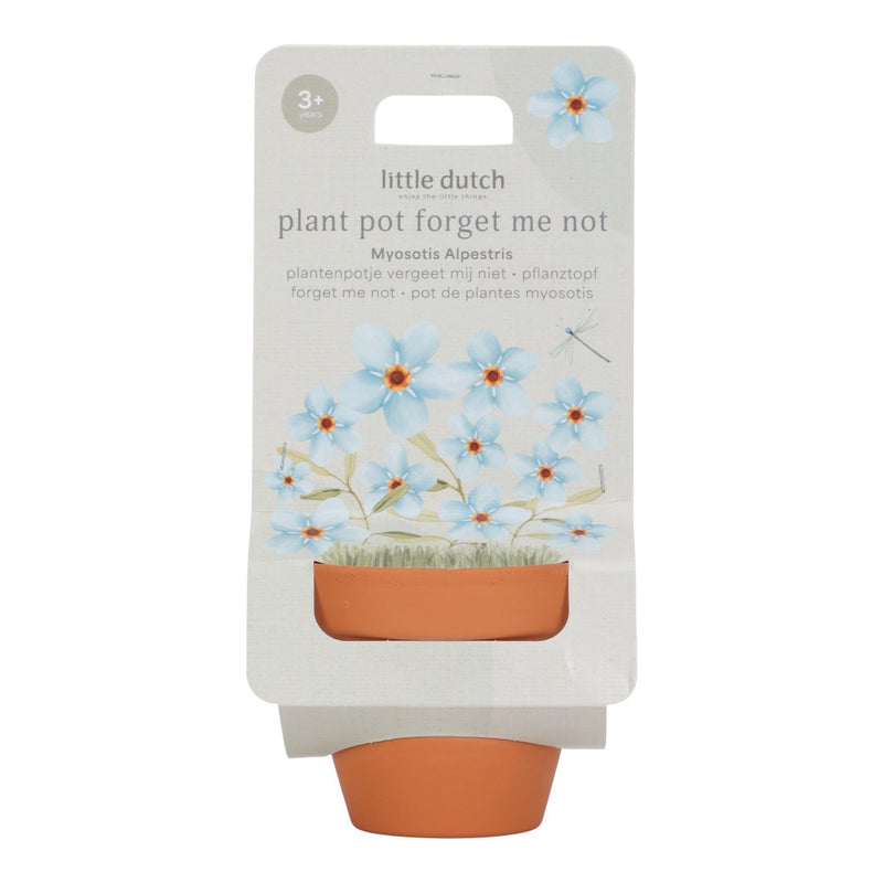Forget-me-not Pot for Children